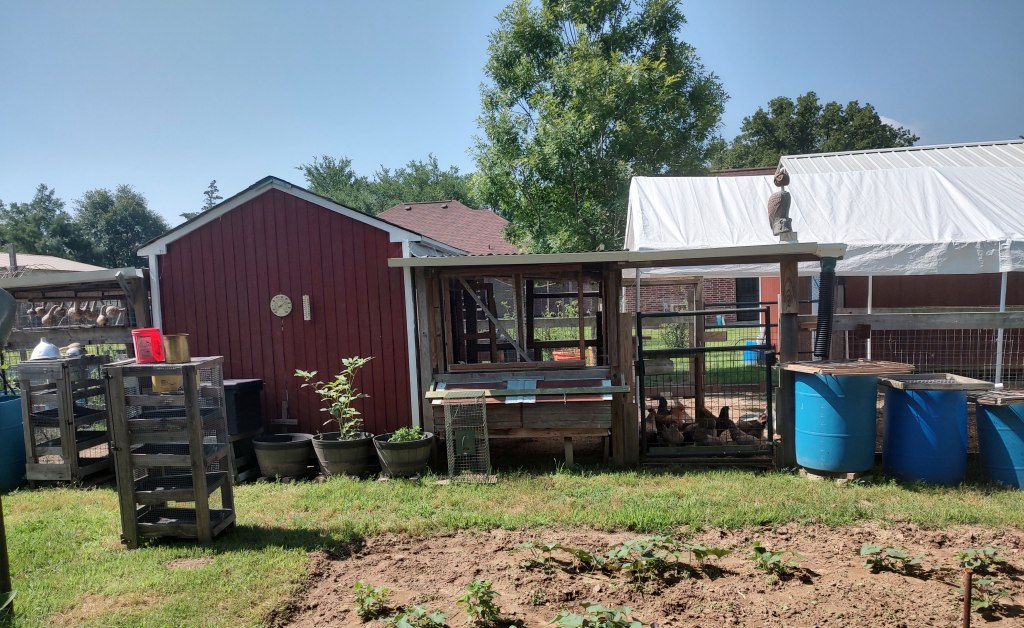 A red barn with chickens and a garden represent cliff notes on your garden.