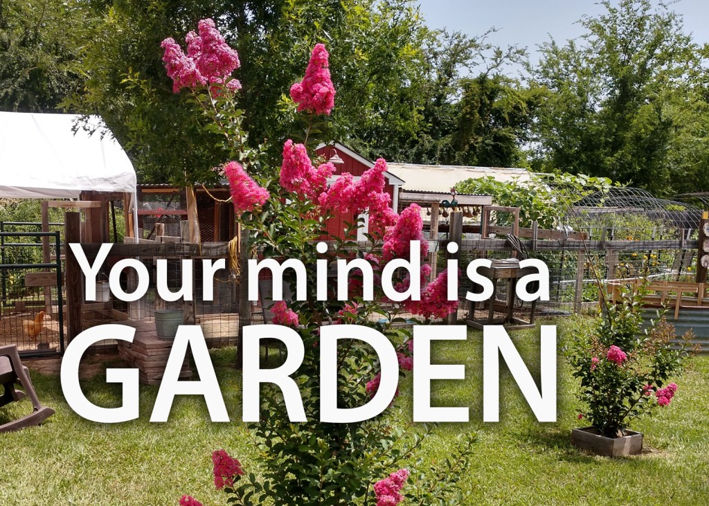 Biblical Quality of Life