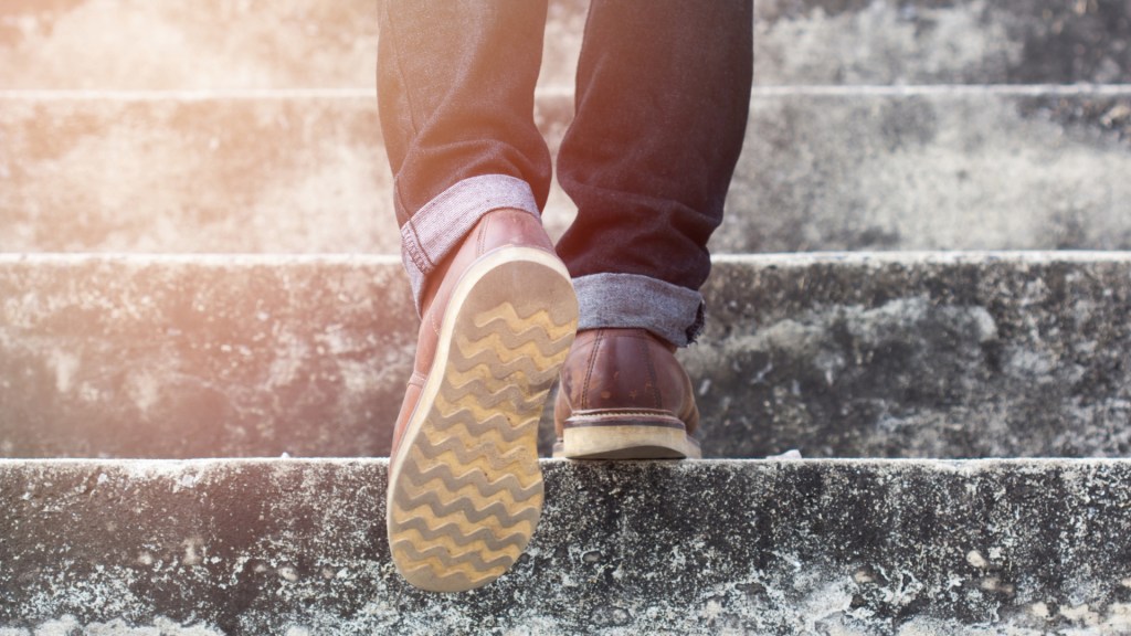 What are the elements of the 12 step process?