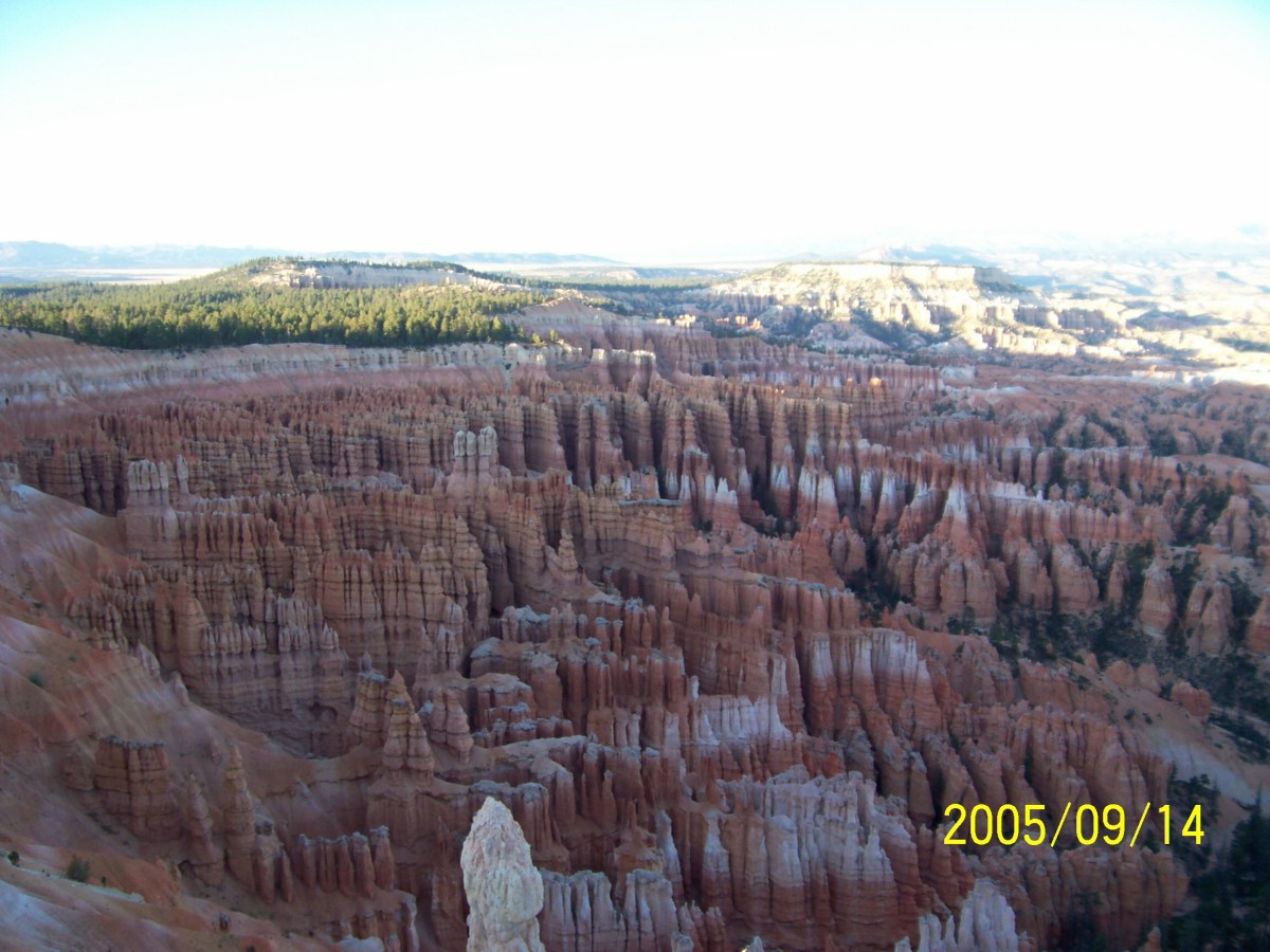 Thoughts.  Negative. Positive.&nbsp;Bothersome.