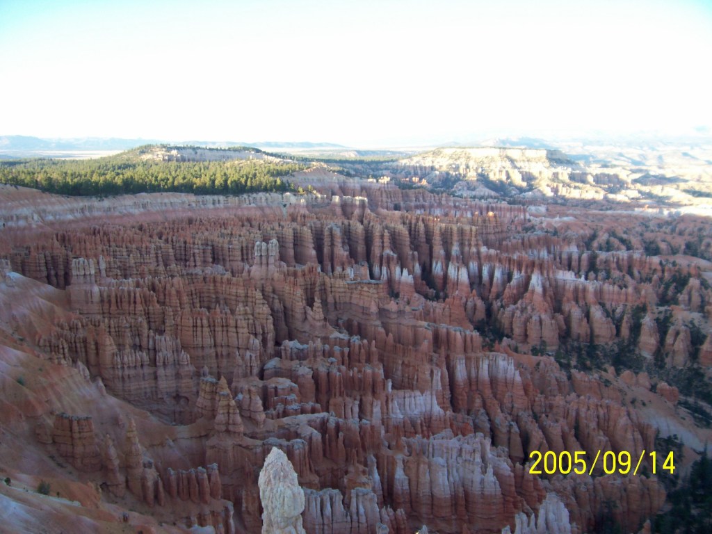 Thoughts.  Negative. Positive.&nbsp;Bothersome.